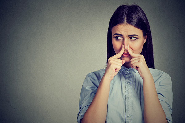 Smoke Odor Removal